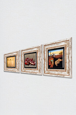 Salvador Dalí Belleğin Azmi, Da Vinci Vitruvius Adamı, Nar Taş Duvar Tablosu Çerçeveli Duvar Dekoru 3 Parça Tablo Seti Wall Art