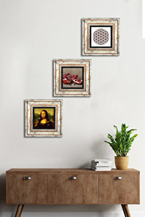 Yaşam Çiçeği, Leonardo da Vinci Mona Lisa, Nar Taş Duvar Tablosu Çerçeveli Duvar Dekoru 3 Parça Tablo Seti Wall Art
