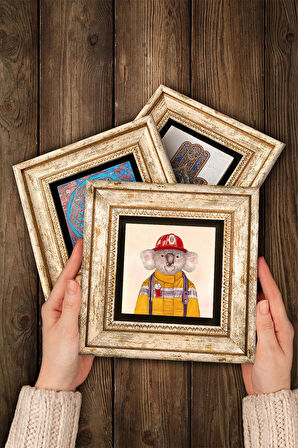 Kirpi, Kedi, Koala Taş Duvar Tablosu Çerçeveli Duvar Dekoru 3 Parça Tablo Seti Wall Art