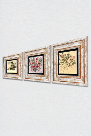 Gül Çiçek, Vintage Çiçek Taş Duvar Tablosu Çerçeveli Duvar Dekoru 3 Parça Tablo Seti Wall Art