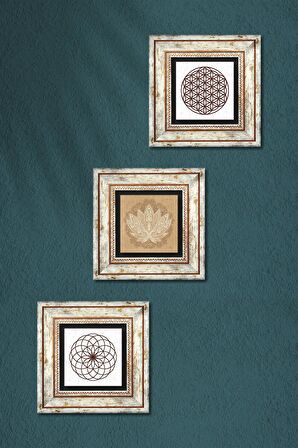 Lotus Çiçeği, Yaşam Çiçeği Taş Duvar Tablosu Çerçeveli Duvar Dekoru 3 Parça Tablo Seti Wall Art