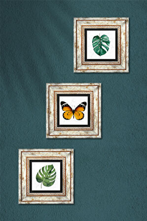 Kelebek, Yaprak Taş Duvar Tablosu Çerçeveli Duvar Dekoru 3 Parça Tablo Seti Wall Art