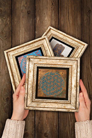 Yaşam Çiçeği, Lotus Çiçeği Taş Duvar Tablosu Çerçeveli Duvar Dekoru 3 Parça Tablo Seti Wall Art