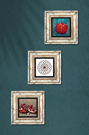 Yaşam Çiçeği, Nar Taş Duvar Tablosu Çerçeveli Duvar Dekoru 3 Parça Tablo Seti Wall Art