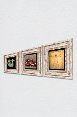 Leonardo da Vinci Vitruvius Adamı, Şahmeran, Nar Taş Duvar Tablosu Çerçeveli Duvar Dekoru 3 Parça Tablo Seti Wall Art