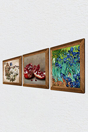 Van Gogh İrisler, Kelebekli Çiçek, Nar Taş Duvar Tablosu Ahşap Çerçeveli Duvar Dekoru 3 Parça Tablo Seti Wall Art