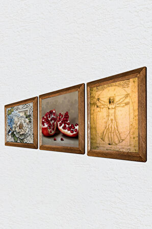 Leonardo da Vinci Vitruvius Adamı, Kelebekli Çiçek, Nar Taş Duvar Tablosu Ahşap Çerçeveli Duvar Dekoru 3 Parça Tablo Seti Wall Art