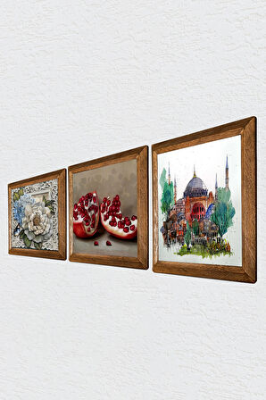 İstanbul Ayasofya, Kelebekli Çiçek, Nar Taş Duvar Tablosu Ahşap Çerçeveli Duvar Dekoru 3 Parça Tablo Seti Wall Art