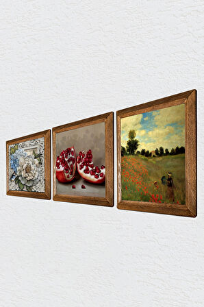 Claude Monet Gelincikler, Kelebekli Çiçek, Nar Taş Duvar Tablosu Ahşap Çerçeveli Duvar Dekoru 3 Parça Tablo Seti Wall Art