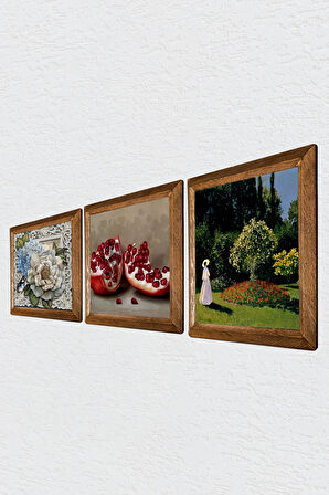 Claude Monet Bahçedeki Kadın, Kelebekli Çiçek, Nar Taş Duvar Tablosu Ahşap Çerçeveli Duvar Dekoru 3 Parça Tablo Seti Wall Art