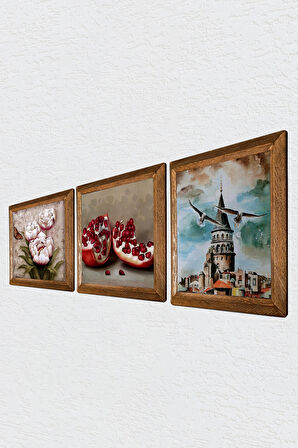 İstanbul Galata Kulesi, Kelebekli Çiçek, Nar Taş Duvar Tablosu Ahşap Çerçeveli Duvar Dekoru 3 Parça Tablo Seti Wall Art