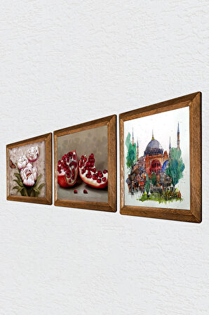 İstanbul Ayasofya, Kelebekli Çiçek, Nar Taş Duvar Tablosu Ahşap Çerçeveli Duvar Dekoru 3 Parça Tablo Seti Wall Art