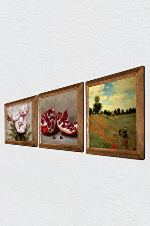 Claude Monet Gelincikler, Kelebekli Çiçek, Nar Taş Duvar Tablosu Ahşap Çerçeveli Duvar Dekoru 3 Parça Tablo Seti Wall Art