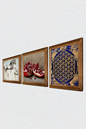 Yaşam Çiçeği, Leonardo da Vinci At Heykeli, Nar Taş Duvar Tablosu Ahşap Çerçeveli Duvar Dekoru 3 Parça Tablo Seti Wall Art