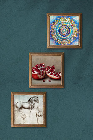 Mandala, Leonardo da Vinci At Heykeli, Nar Taş Duvar Tablosu Ahşap Çerçeveli Duvar Dekoru 3 Parça Tablo Seti Wall Art