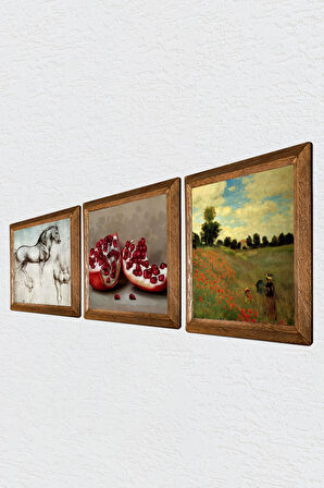 Claude Monet Gelincikler, Leonardo da Vinci At Heykeli, Nar Taş Duvar Tablosu Ahşap Çerçeveli Duvar Dekoru 3 Parça Tablo Seti Wall Art