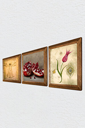 Lale Ebru Sanatı, Leonardo da Vinci Vitruvius Adamı, Nar Taş Duvar Tablosu Ahşap Çerçeveli Duvar Dekoru 3 Parça Tablo Seti Wall Art