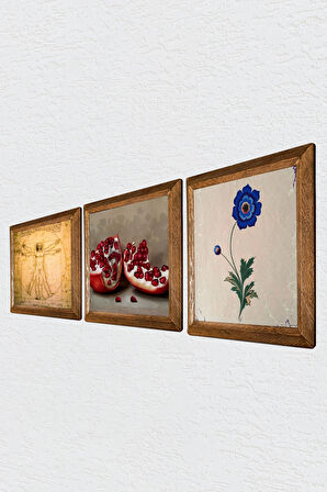 Ebru Sanatı, Leonardo da Vinci Vitruvius Adamı, Nar Taş Duvar Tablosu Ahşap Çerçeveli Duvar Dekoru 3 Parça Tablo Seti Wall Art