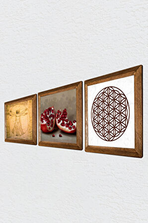 Yaşam Çiçeği, Leonardo da Vinci Vitruvius Adamı, Nar Taş Duvar Tablosu Ahşap Çerçeveli Duvar Dekoru 3 Parça Tablo Seti Wall Art