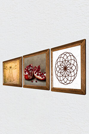 Yaşam Çiçeği, Leonardo da Vinci Vitruvius Adamı, Nar Taş Duvar Tablosu Ahşap Çerçeveli Duvar Dekoru 3 Parça Tablo Seti Wall Art
