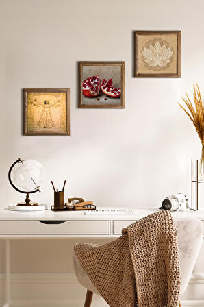 Lotus Çiçeği, Leonardo da Vinci Vitruvius Adamı, Nar Taş Duvar Tablosu Ahşap Çerçeveli Duvar Dekoru 3 Parça Tablo Seti Wall Art