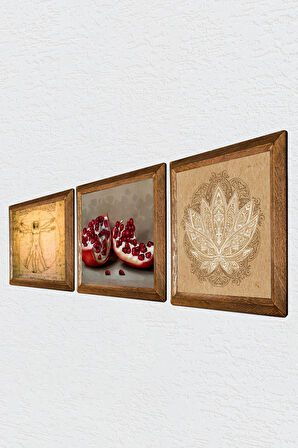Lotus Çiçeği, Leonardo da Vinci Vitruvius Adamı, Nar Taş Duvar Tablosu Ahşap Çerçeveli Duvar Dekoru 3 Parça Tablo Seti Wall Art