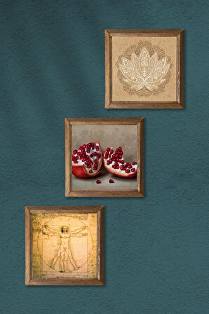 Lotus Çiçeği, Leonardo da Vinci Vitruvius Adamı, Nar Taş Duvar Tablosu Ahşap Çerçeveli Duvar Dekoru 3 Parça Tablo Seti Wall Art