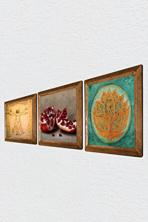 Lotus Çiçeği, Leonardo da Vinci Vitruvius Adamı, Nar Taş Duvar Tablosu Ahşap Çerçeveli Duvar Dekoru 3 Parça Tablo Seti Wall Art