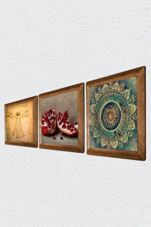 Mandala, Leonardo da Vinci Vitruvius Adamı, Nar Taş Duvar Tablosu Ahşap Çerçeveli Duvar Dekoru 3 Parça Tablo Seti Wall Art