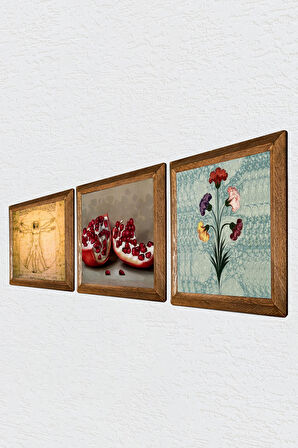Ebru Sanatı, Leonardo da Vinci Vitruvius Adamı, Nar Taş Duvar Tablosu Ahşap Çerçeveli Duvar Dekoru 3 Parça Tablo Seti Wall Art