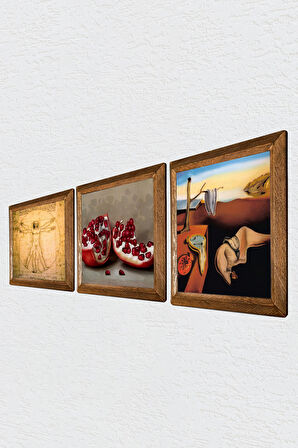 Salvador Dalí Belleğin Azmi, Da Vinci Vitruvius Adamı, Nar Taş Duvar Tablosu Ahşap Çerçeveli Duvar Dekoru 3 Parça Tablo Seti Wall Art