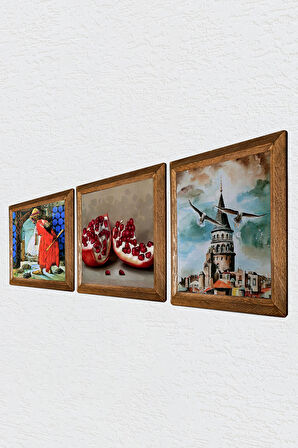 İstanbul Galata Kulesi, Kaplumbağa Terbiyecisi, Nar Taş Duvar Tablosu Ahşap Çerçeveli Duvar Dekoru 3 Parça Tablo Seti Wall Art