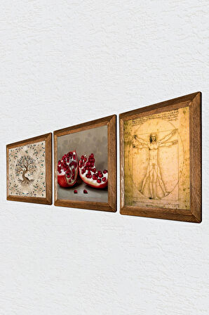 Leonardo da Vinci Vitruvius Adamı, Hayat Ağacı, Nar Taş Duvar Tablosu Ahşap Çerçeveli Duvar Dekoru 3 Parça Tablo Seti Wall Art