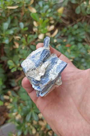 Kuvars Kristali İçinde Kyanit Koleksiyonluk Parça KY31