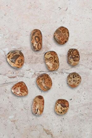 Leopardit Taşı Tamburlu Parça 427-2