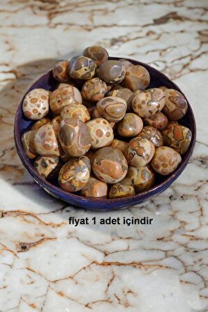 Leopardit Taşı Tamburlu Parça 427-2