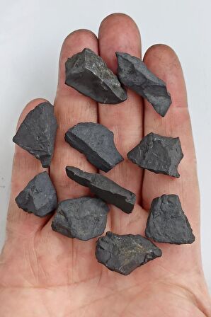 25 Gram Doğal Şungit Taşı Küçük Parçalar - 455