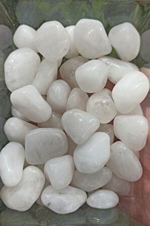 50 Gram Süt Kuvars Tamburlu Parçalar 643