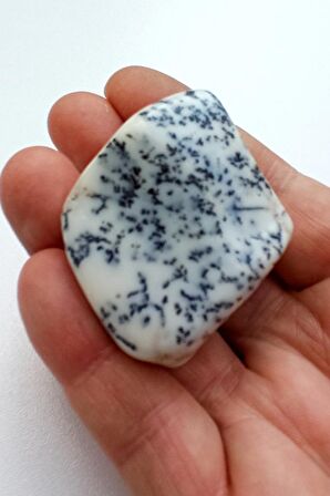 Merlinit Dendritli Opal Tamburlu Parça 133