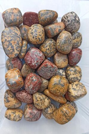 50 Gram Leopar Jasper Tamburlu Parçalar 524