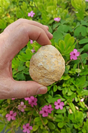 Afrika Kuvars Kristali Jeot Doğal Parça 32-KKJ