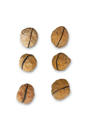 Afrika Kuvars Kristali Jeot Doğal Parça 32-KKJ