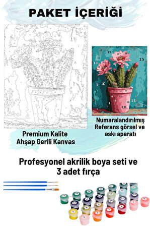 Sayılarla Boyama Seti Numaralı Tuval Fırça Boya 40x50 Cm - PEMBE KAKTÜS