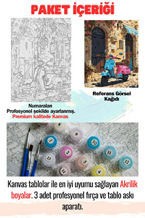 Sayılarla Boyama Çerçeveli Hobi Seti Numaralı Tuval Fırça Boya Dahil Kasnaklı PEMBE MOTOR 40X50 Cm