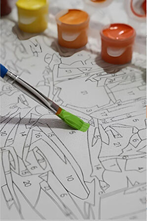 Sayılarla Boyama Seti Numaralı Tuval Fırça Boya Dahil Kasnaklı Set 50x70 Cm - PEMBE MOTOR