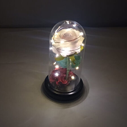 Romantik Sevgililer Temalı Işıklı Gül Fanus