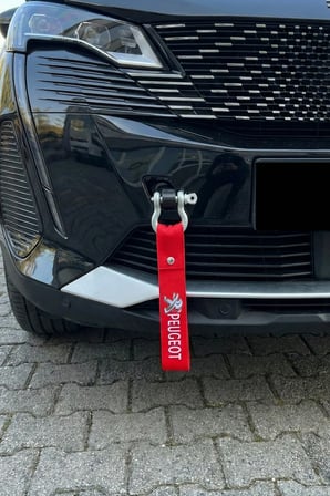 Peugeot 301 Uyumlu Torpido Kaplama Koruma Halısı & Oto Ayna Askısı & Tampon Çeki İpi