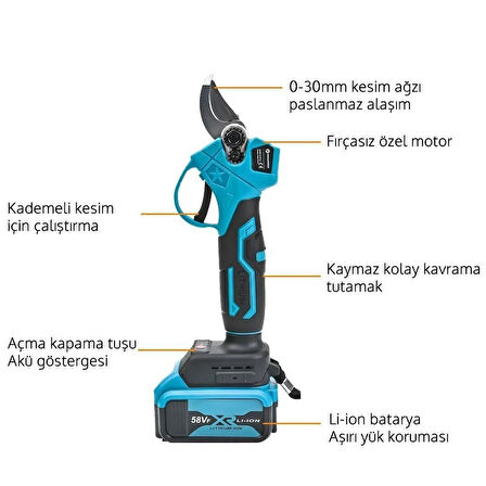 Prohummer PH-TS0101 2Li Set 58 Vf 5 Ah Çift Akülü Çelik Şanzıman Şarjlı Dal Budama ve Testeresi (Mavi)