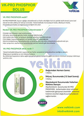 Vk-Pro Phosphor Bolus - 12 Adet 185 gr