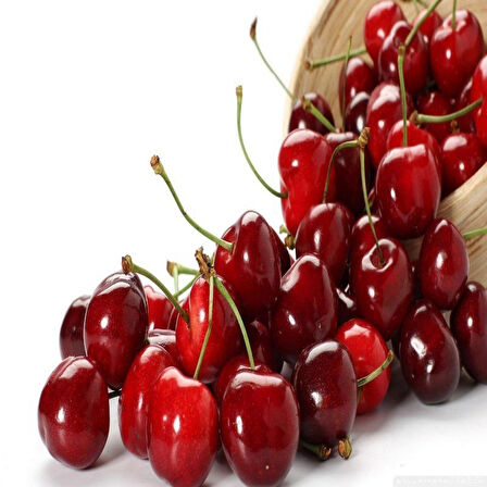 Kütahya Vişne Tohumu (5 adet)